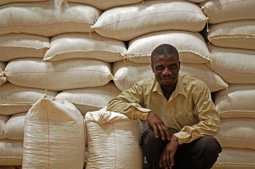 Farmer Nivson Stock Depositied 7.1Mt At The Nathenje Warehouse This Year